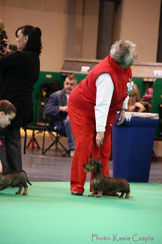 Crufts2011_2 539.jpg